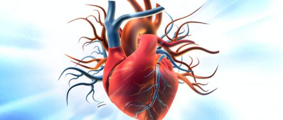 CATHI Launches New Right Heart Catheter Simulator - Med-Tech Innovation ...