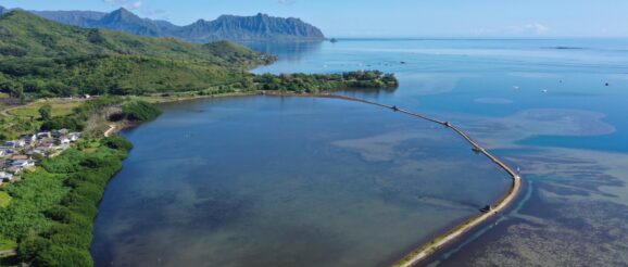 UH to develop Pacific Islands climate-resilient, food innovation network