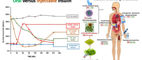 A new and affordable method of insulin delivery that is plant-based and oral - Innovation Toronto