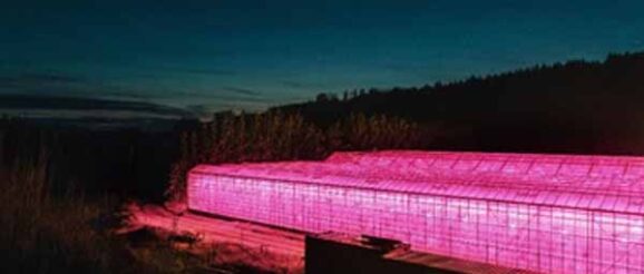 ams OSRAM extends success in Horticulture Lighting with Hyper Red innovation