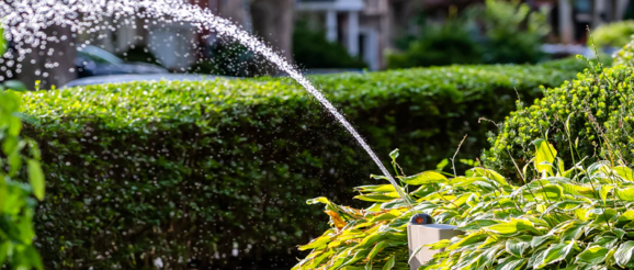 OtO Lawn Sprinkler: Cost-Effective, Customizable Watering Solution - Innovation & Tech Today