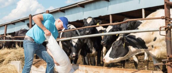 Dairy Innovation Grants Available to Producers