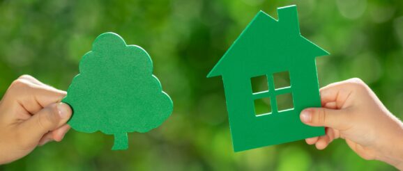 Nearly three quarters of brokers have not seen significant green product innovation in last year – poll results - Mortgage Solutions