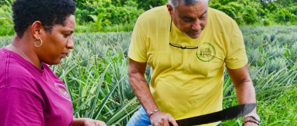 A bright future for Belize through Agriculture and Innovation: A conversation with Silk Grass Farms Co-Founder and Executive Director Henry Canton