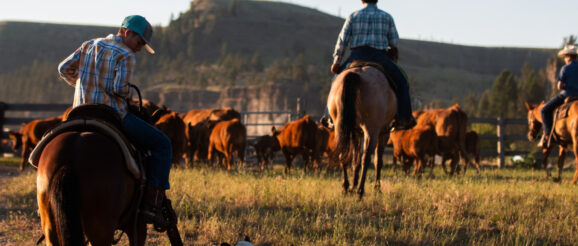 BLM Announces Winners of the Rangeland Stewardship and Innovation Awards | Morning Ag Clips