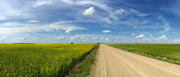 Canadian innovation beats EU precaution in agriculture sustainability: Stuart Smyth for Inside Policy | Macdonald-Laurier Institute
