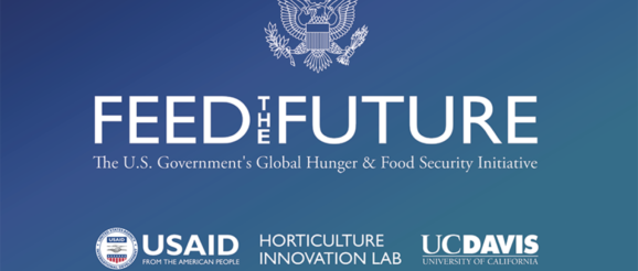 Feed the Future Innovation Lab for Horticulture Announces New Portfolio of Regionally-led Research Initiatives