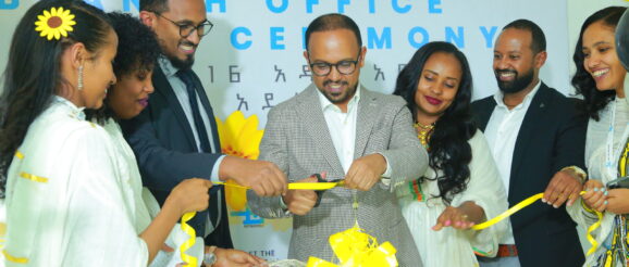 IE Networks: Pioneering Growth and Innovation in Ethiopian Technology Landscape