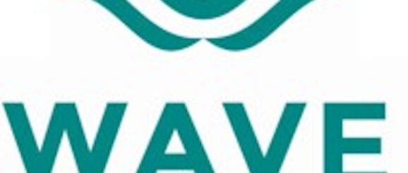 WAVE Equity: With Over $390 Million In AUM, This Sustainability-Focused Firm Is Driving Cleantech Innovation