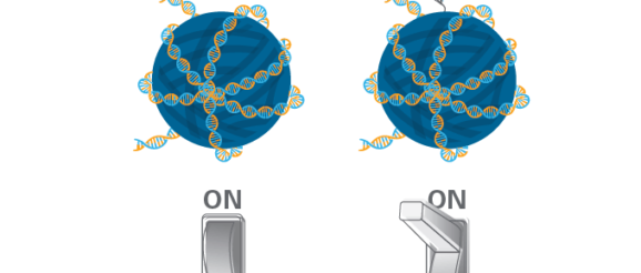 Cancer Signals Hidden in Blood Now Visible with Dana-Farber Innovation | Dana-Farber Cancer Institute