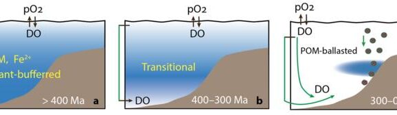 Marine oxygen landscape shaped by plate movement and biological innovation
