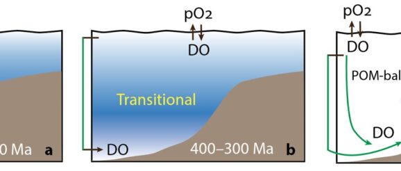 Study shows marine oxygen landscape was shaped by plate movement and biological innovation
