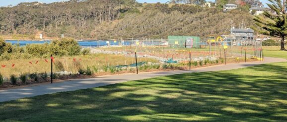 Wagonga Inlet's Living Shoreline project wins award for innovation | Bay Post-Moruya Examiner | Batemans Bay, NSW