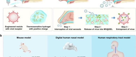 Protecting the respiratory tract from viral aerosols including Covid with a novel intranasal mask - Innovation Toronto