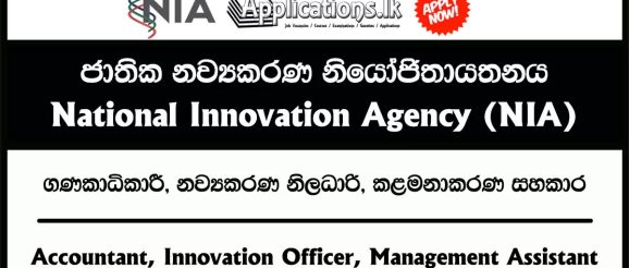 Accountant, Innovation Officer, Management Assistant - National Innovation Agency Vacancies 2023 - Applications.lk