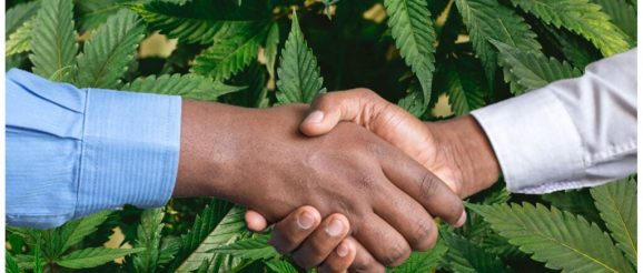 EXCLUSIVE: House Of Kush And Ohio Cannabis Producer Join Hands To Provide Better Products, Education And Innovation