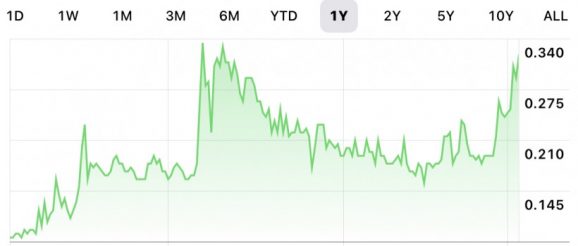 The Year in Innovation Stocks