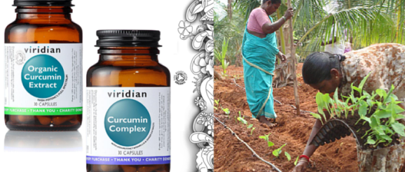 Curcumin Innovation from Viridian Nutrition - Holistic Therapist Magazine