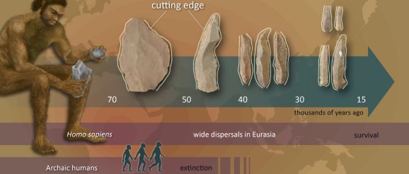 Innovation in stone tool technology involved multiple stages at the time of modern human dispersals, study finds