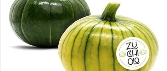 Zucchiolo vegetable wins Fruit Logistica innovation award