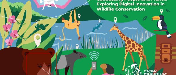 Exploring Digital Innovation in Wildlife Conservation - The Scuba News