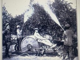 PIECES OF THE PAST: Citrus Sprayer Innovation -